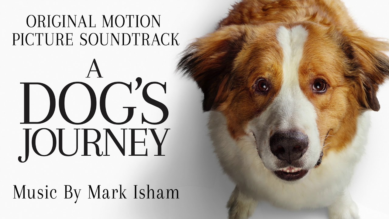 "Goodbye Molly/Hello Big Dog (from A Dog's Journey)" by Mark Isham