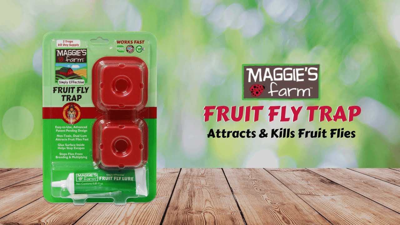 Simply Effective Fruit Fly Trap – Maggie's Farm Ltd
