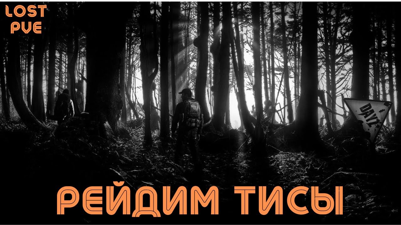 МЫ ПОШЛИ НА ТИСЫ И ВСЕ ПОШЛО НЕ ПО ПЛАНУ… 💀                DayZ       сервер    LOST PVE