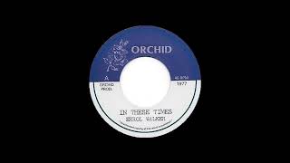 Errol Walker  In These Times remix