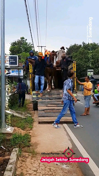 Kuda Renggong Sumedang ‼️ Kuda WALET PUTRA Turun dari Truck Live Cigalagah #KudaRenggong_WaletPutra