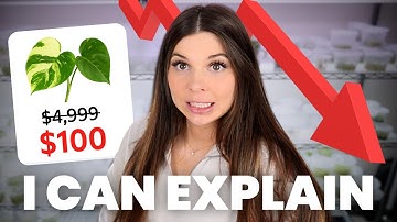 I accidentally crashed the rare plant market