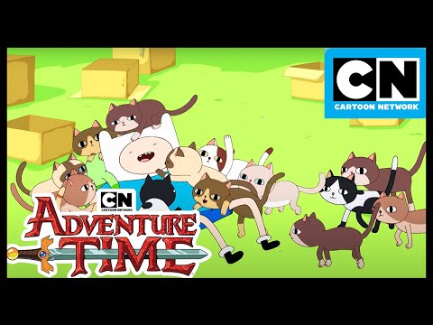 Adventure Time - Davey  Adventure time, Adventure time wiki, Adventure