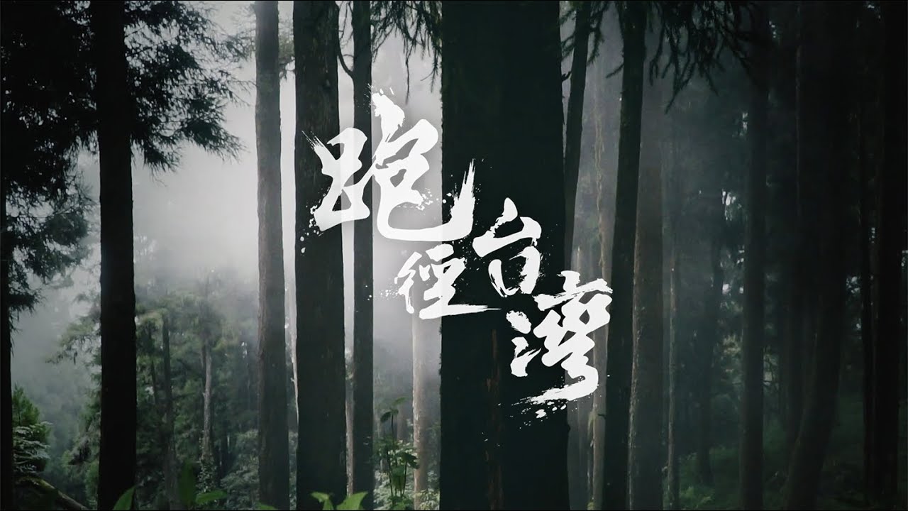 最美秘徑路跑 塔塔加～阿里山｜跑徑台灣｜Titan Club