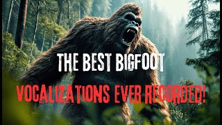 The best Bigfoot vocalizations EVER recorded