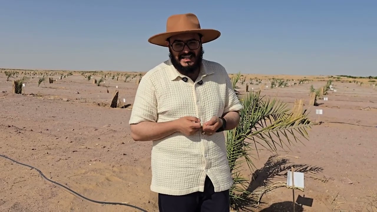 أرضك بورق رسمي ومزروعه من سنه اخيرا مشروعنا في الوادي الجديد أصبح متاح فيه المشاركة