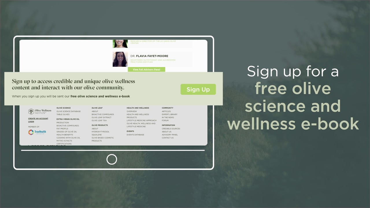 OWI Website Preview Video