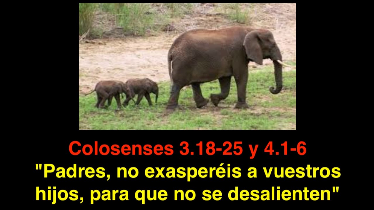 Colosenses 3.18- 25 y 4. 1- 6: Deberes sociales de la nueva vida - YouTube