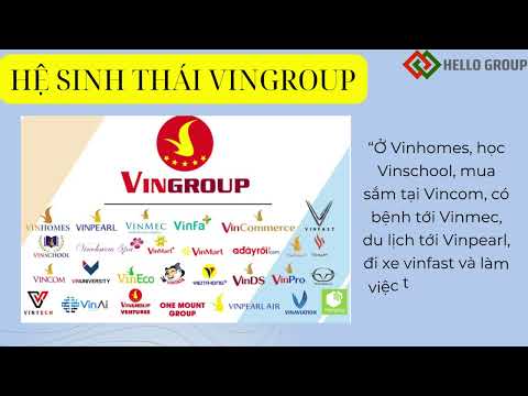 Video ĐIỂM CHÚ Ý MA TRẬN KINH DOANH CỦA VINGROUP - youtube