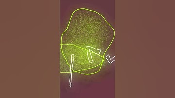 Lighting overlay animation #greenkreators #lighting #overlay #art #neon #motiongraphics #animation