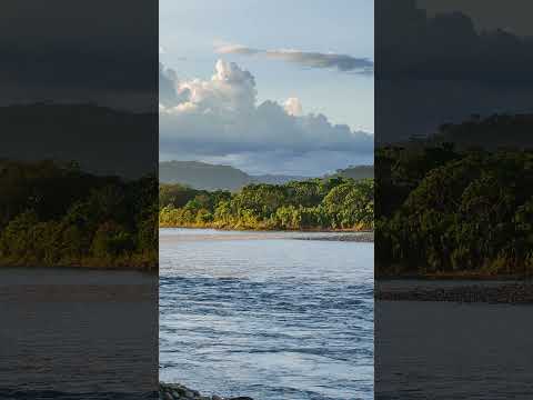 The Amazon River: South America's Lifeline through the Vast Rainforest 