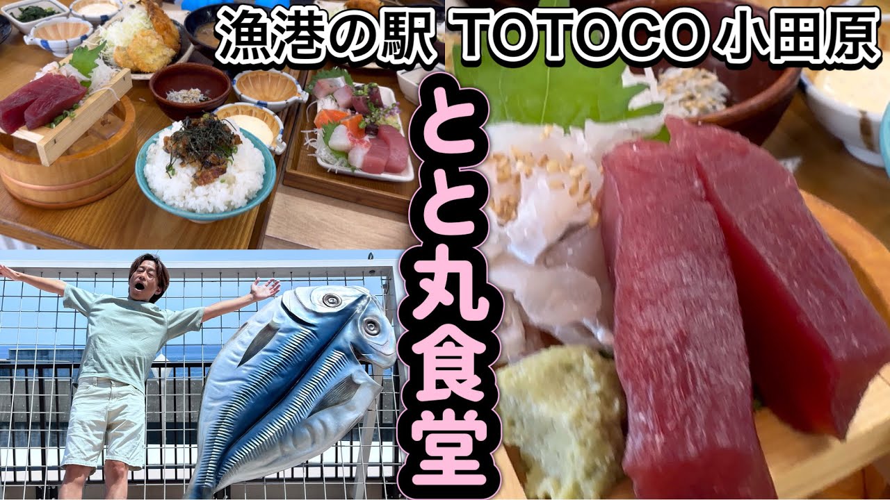 小田原漁港とと丸食堂 漁港の駅 TOTOCO小田原 海鮮丼 魚フライ刺身定食 神奈川県グルメ Sashimi Japanese food MUKBANG Odawara Kanagawa Japan