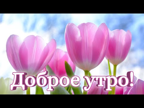 С Добрым утром Хорошего Дня! Хорошее настроение на весь день!