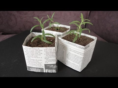 Video: DIY Seedling Containers. Part 1