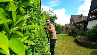 Owners NEEDED Someone To Trim Four Small, NOT Heavily OVERGROWN Laurel Hedges by Kustorez 120,971 views 11 months ago 28 minutes