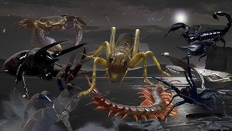 【新企画PV】世界最強は誰だ？世界最大トーナメント予告映像