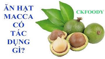 ĂN HẠT MACCA CÓ TÁC DỤNG GÌ?.(Ckfoody)