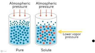 Chapter 12 Colligative Properties