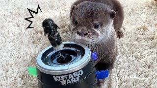 カワウソ コタロー　俺が！俺が！ダースベイダー危機一髪！　 Kotaro the Otter Plays with Pop Up Darth Vader Game