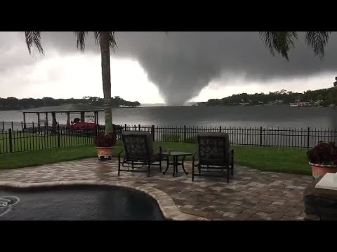 Video: Watter vrugte is nou in seisoen in Florida?