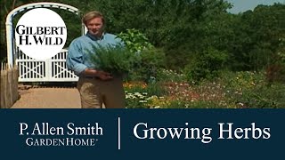 Tips on Growing Herbs | Garden Home 704