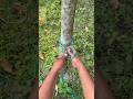 Amazing Rope Knot Tricks Every Camper Should Know #RopeKnots #KnotTutorial #survivalskills