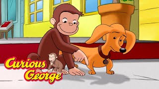 Can You See Your Shadow? 🐵 Curious George 🐵 Kids Cartoon 🐵 Kids Movies