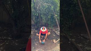 Eu todo animado #humor #comedia #rayjatoba