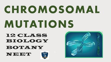 Chromosomal Mutations | Chromosomal Basic of Inheritance | 12 Class | Botany | Science Easy Tech