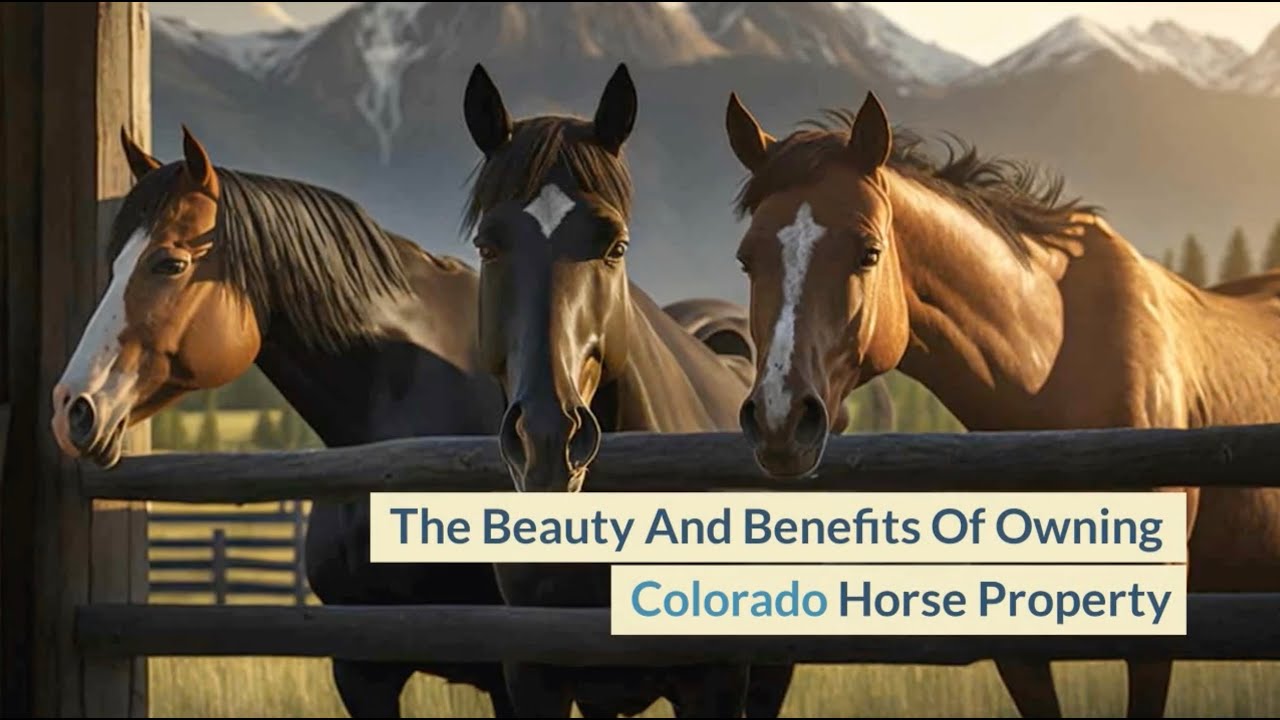 The Benefits of Owning Colorado Horse Property For Sale YouTube