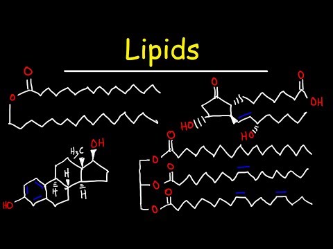 Lipidy – mastné kyseliny, triglyceridy, fosfolipidy, terpeny, vosky, eikosanoidy