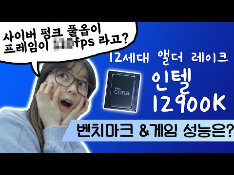 인텔 12세대 <strong>출시</strong>! 12900K <strong>실제</strong> 성능은 어떨까? 벤치마크 &amp;amp; 게임성능 테스트 [브로리퀘스트]
