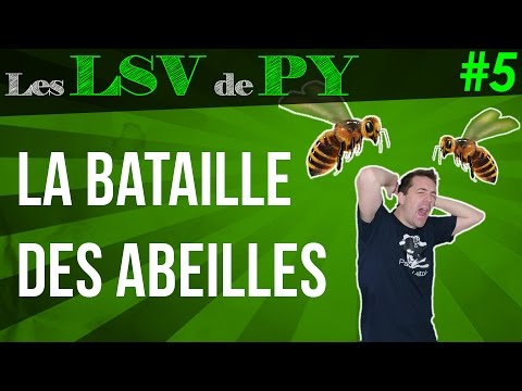 La bataille des abeilles - Les LSV de PY #5