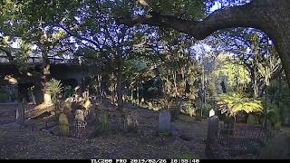 Time-lapse of Sunset at Grafton Cemetery