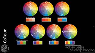 Webinar Scientific Imaging