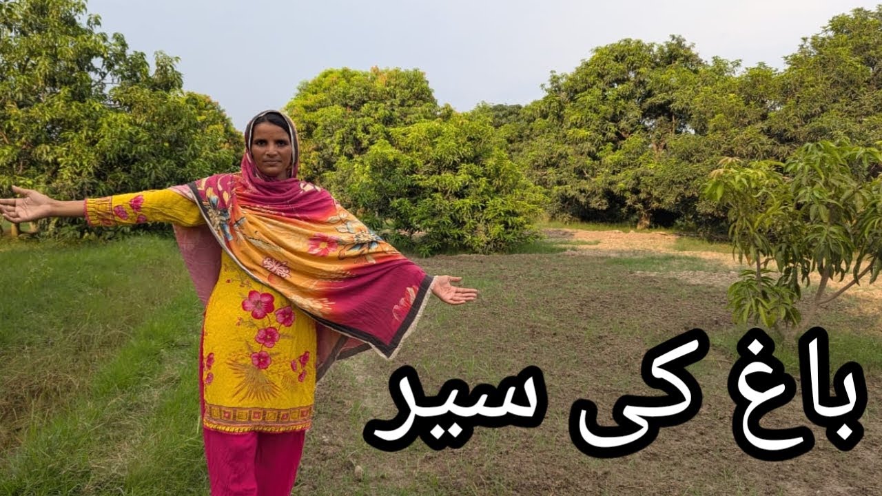 آج کی باغ کی سیر/نیو ویلوگ2025