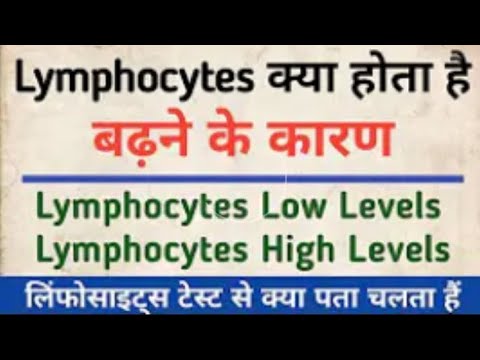 lymphocytes क्या होता है | lymphocytes test in hindi | lymphocytes