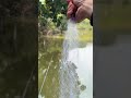 Рыбалка. Китайские снасти тестирую
