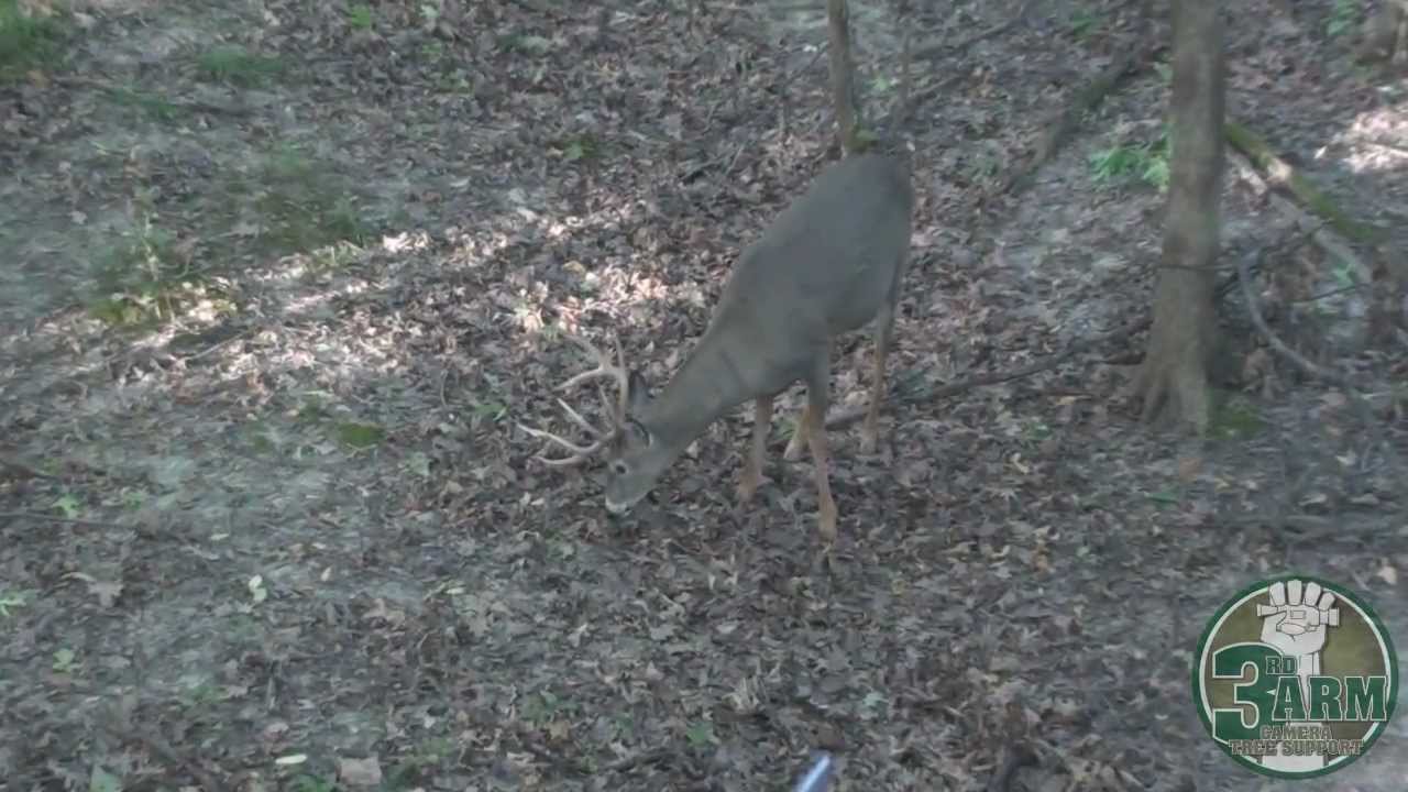 Deer Hunting Filming Tips YouTube