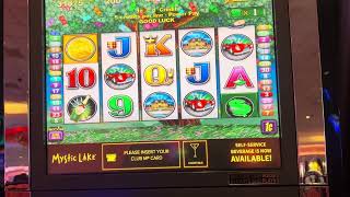 Money Tree 2 back to back bonus! screenshot 5