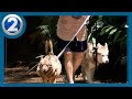 Rising hot temperatures pose risk for pets on hikes