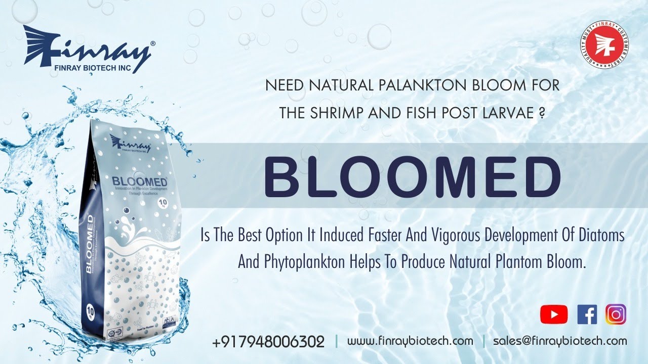 Best for the Development Of Natural Plantom Bloom | Bloomed | Finray Biotech Inc