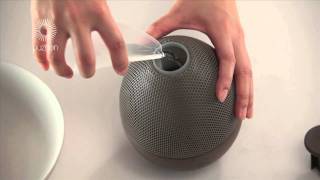 How to Clean & Maintain Puzhen's Sha Aroma Diffuser (Small)