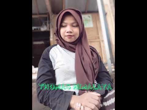 LAGU THOMAS HIMALAYA