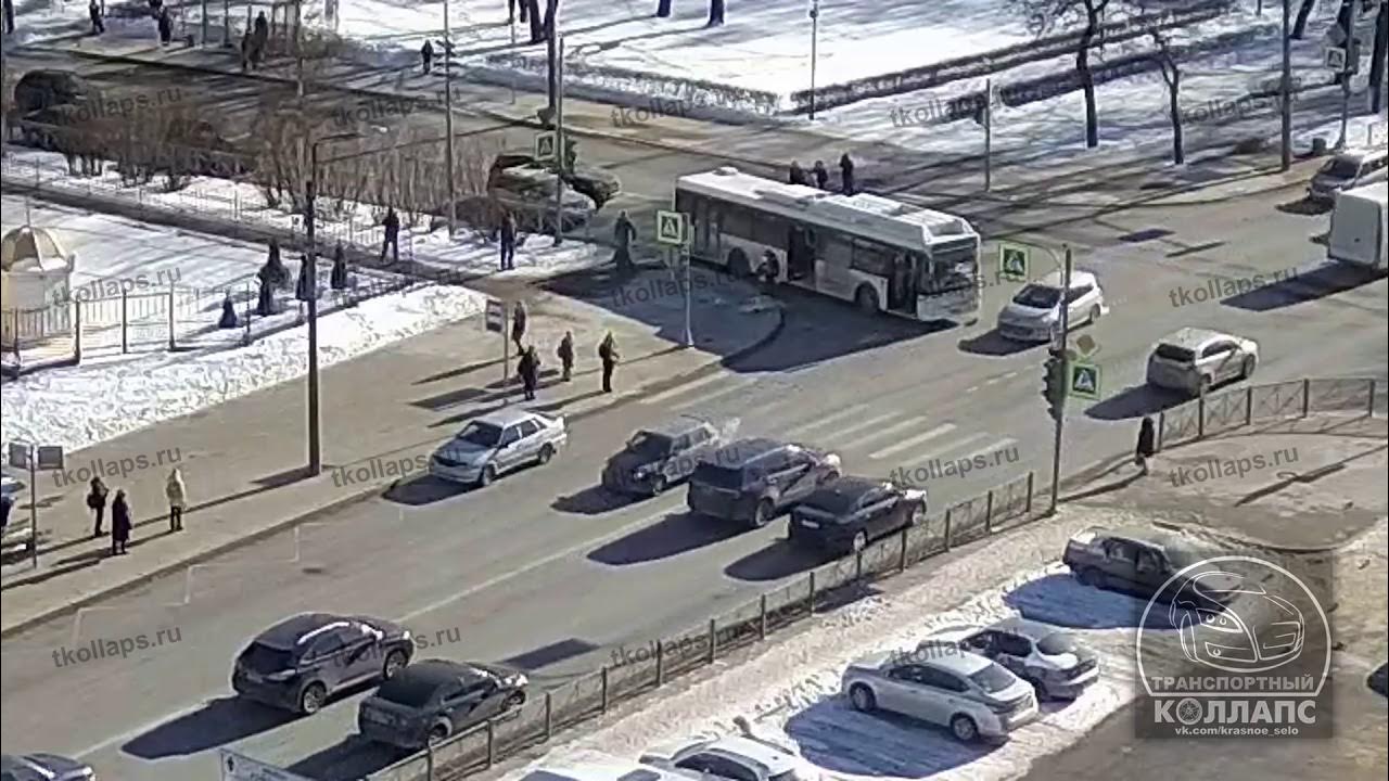 транспортный коллапс красное село вконтакте. коллапс красное село. коллапс красное село. транспортный коллапс красное. жёсткая авария в горелово.