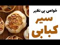 خواص بی نظیر سیر کبابی دکتر نکته