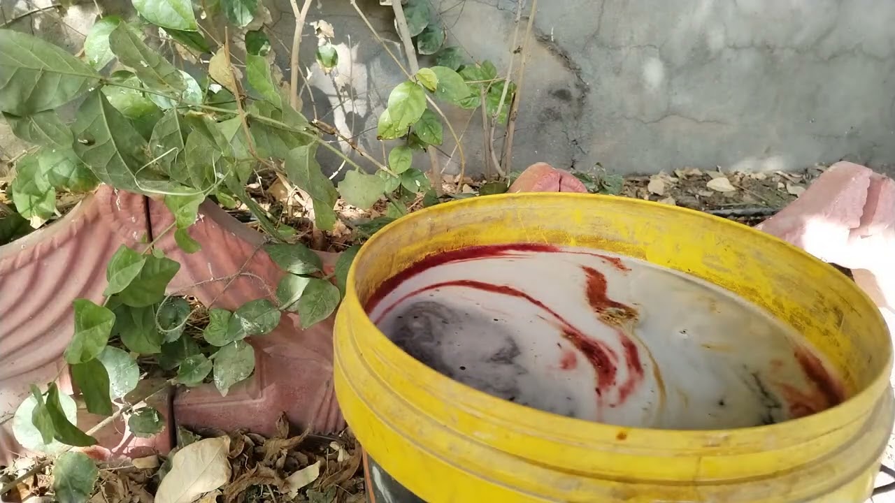 التسميد قبل دخول السبات