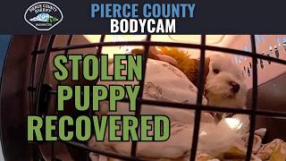 Stolen Puppy Reunited with Family After Suspect Arrested