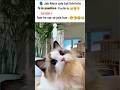 seer ke upr se jata hai 😂#love_whatsapp_status #lovestatus #arcade_5n #likesharesubscribe