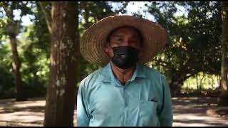 #Chiriquí - La Isla Sevilla desarrolla tecnología IDIAP